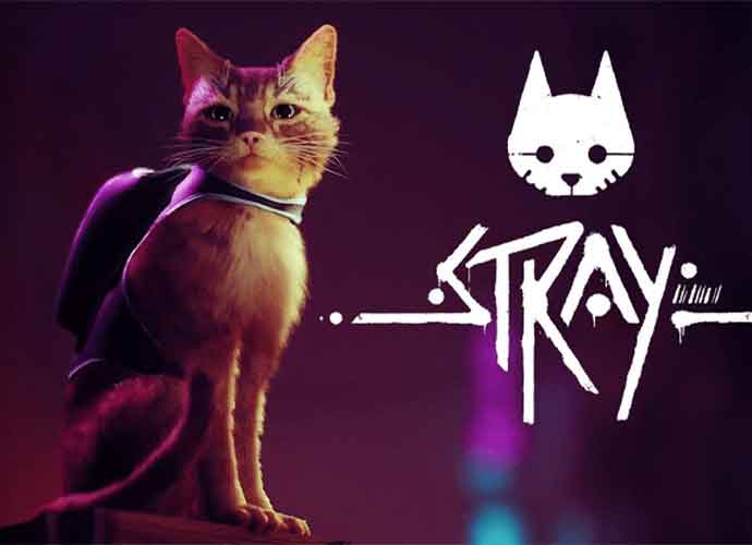 'Stray' game (Image: BlueTwelve Studios)